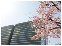 来週のオフィス移転