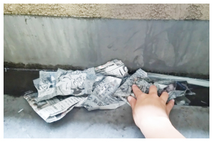 オフィスベランダの掃除