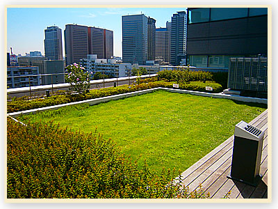 屋上緑化の写真